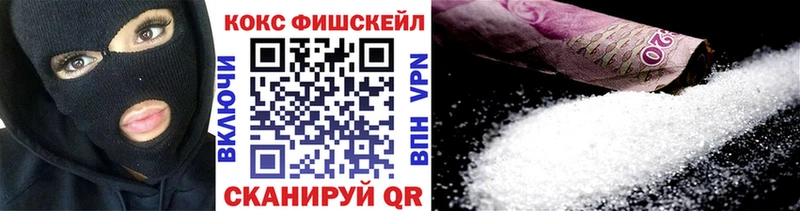 Купить где  Куртамыш  КОКАИН Fish Scale 