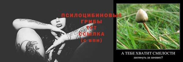 прущие крисы Горно-Алтайск