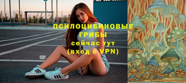 кокаин премиум Горнозаводск