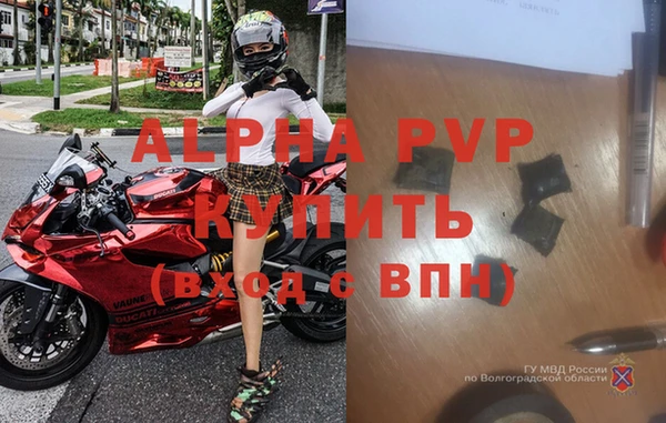 мдпв Горняк